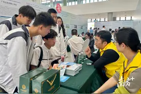 实习、就业都有补贴！濠江真金白银引才育才留才图片