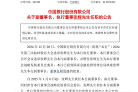 张辉，任中国银行副董事长图片