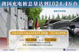 （图表）我国充电桩总量达到1024.4万台图片