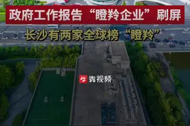 政府工作报告新词“瞪羚企业”刷屏！长沙有两家全球榜“瞪羚”图片