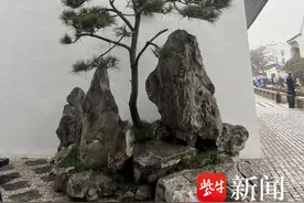 古建老宅活化利用开启“姑苏模式”图片