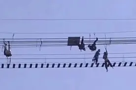 项目关闭整改！游客玩高空桥踩空致多人倒挂，洛阳一景区致歉图片