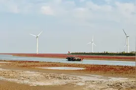 生态之洲图片