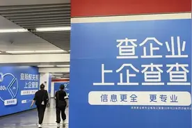 IPO观察丨企查查冲击资本市场，商业查询是门好生意吗图片
