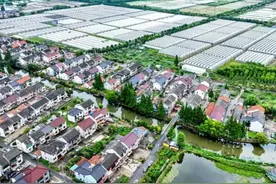 【练塘镇】农产品与电商的“美丽邂逅”！练塘佳欣合作社插上“云翅膀”图片