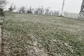 积雪最深30厘米！河南多地下雪！图片