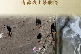 走！青藏线｜青藏线上梦驼铃图片