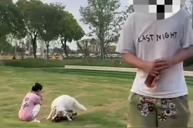 惹众怒！上海一男子遛狗不拴绳，还反问“为何不把小孩拴起来”，警方出手图片