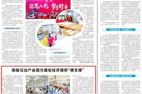 瑞丽沿边产业园为德宏经济提供“硬支撑”图片