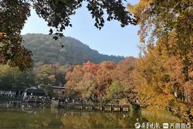时间煮酒，岁月渐稠图片