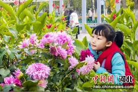 张家口桥西区：公园秋景美如画图片