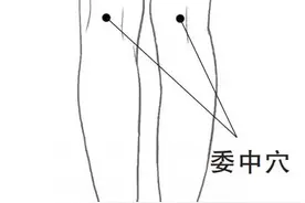 春天是「养背」黄金期，代谢一冬的寒湿图片