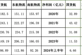 南航物流上市终止，净利润为三大航物流之首图片