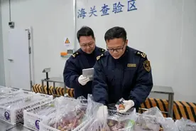 东莞正式开通智利西梅直航专线图片