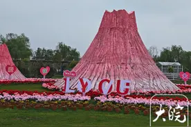 春游江淮请您来｜芜湖大浦欢乐岛：粉红“火山”成新晋打卡地图片