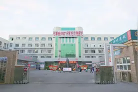 该怎么隐藏你，我的疤痕……图片