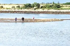 3名女子赶海被海流卷走 牟平善德爱心服务队志愿者王鲁强跳海救人图片