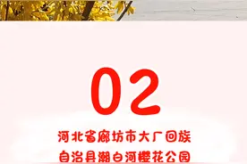 探寻花花世界，北京城市副中心“五一”推出三条“赏花+”寻春之旅特色打卡路线图片