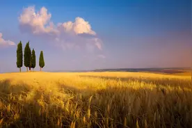 人间|香甜的姐姐图片