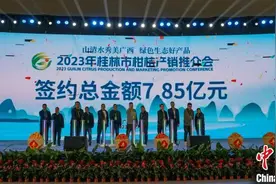 广西桂林市柑桔产销两旺 现场签约7.85亿元图片