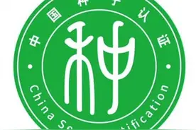 青年早新闻｜乡村娃收到了北大“姐姐”的信图片