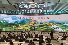 川陕甘大熊猫旅游路线全球首发，熊猫家园——雅安是必打卡之地图片