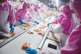 强化食材供应链建设，守护“舌尖”上的安全图片