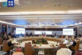叙利亚问题阿拉伯部长级扩大会议在利雅得举行图片