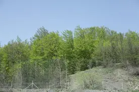 中国人走世界之斯洛文尼亚（一  一）卢布尔雅那——卢布尔雅那图片