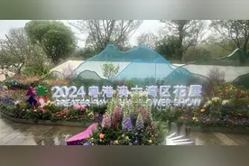 看繁花，见繁华！2024粤港澳大湾区花展惊艳“绽放”，打卡攻略来了图片