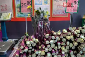 大块头洪山菜薹走俏市场，价格超部分肉类图片