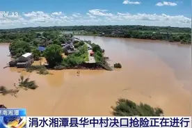 湖南湘潭县华中村决口：淹没区的水在自流外排图片