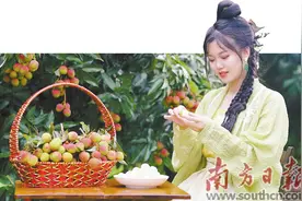 清甜一夏 魅荔无限图片