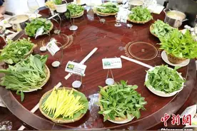 海外华文媒体寻味重庆潼南：一场“蔬”心之旅图片