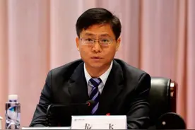 龙飞被逮捕！“执纪违纪执法犯法”图片