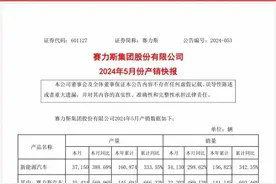 赛力斯汽车5月销量同比增489%，暂未公布问界交付量图片