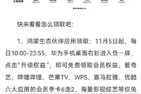 华为用户看过来！升级纯血鸿蒙系统送爱奇艺、芒果TV会员图片