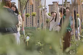 一场关于“累”的深度对话 在瓜果藤蔓间悄然延伸图片