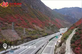 有望明年建成通车！九绵高速项目建设最新进展→图片