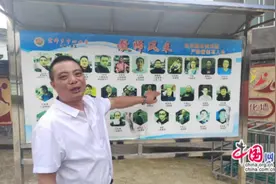 共研共商谱新篇，乐山十二中结对帮扶情谊深图片