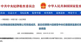 周末打虎！中国联通副总经理曹兴信任上被查图片