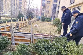 青岛西海岸新区辛安街道：未经审批建围墙，限期整改复原貌图片