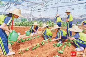 教育周刊 | 劳语结合 探索“学科＋”图片