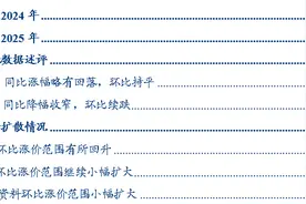 通胀：回顾2024，展望2025图片