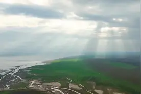 东洞庭湖：麋鹿追逐 候鸟蹁跹图片