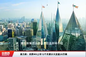 赛力斯：问界M9上市12个月累计大定超20万辆视频封面