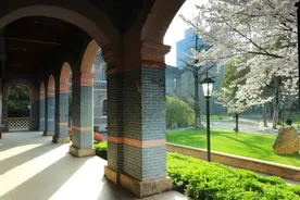 人少花美，上海长宁这些地方的樱花绚烂绽放图片