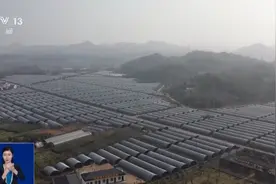 一度“消失”的珍稀中药材身影重现 摸清我国中药“家底” 有何意义？图片