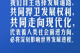 习言道｜不能谁的胳膊粗、嗓门大，谁就说了算图片