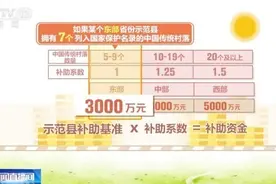 各行各业迎着春风涌动干事创业热潮 中国高质量发展“根深叶茂”图片